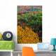 Autumn Trees, Ottawa Valley, Ontario Wall Mural