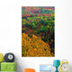 Autumn Trees, Ottawa Valley, Ontario Wall Mural