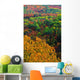 Autumn Trees, Ottawa Valley, Ontario Wall Mural