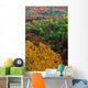 Autumn Trees, Ottawa Valley, Ontario Wall Mural