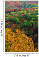 Autumn Trees, Ottawa Valley, Ontario Wall Mural