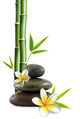 Frangipani Flowers Pebbles Zen Bamboo Wall Decal