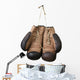 Old Boxing Gloves Hanging