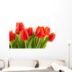 Tulips Rotorange