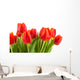 Tulips Rotorange