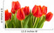 Tulips Rotorange