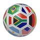 Soccer ball with South African flag in the front Wall Decal