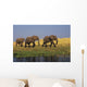 African Elephants, Lake Kariba, Matusadona National Park, Zimbabwe Wall Mural