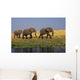 African Elephants, Lake Kariba, Matusadona National Park, Zimbabwe Wall Mural