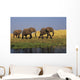 African Elephants, Lake Kariba, Matusadona National Park, Zimbabwe Wall Mural