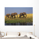 African Elephants, Lake Kariba, Matusadona National Park, Zimbabwe Wall Mural