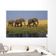 African Elephants, Lake Kariba, Matusadona National Park, Zimbabwe Wall Mural