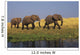 African Elephants, Lake Kariba, Matusadona National Park, Zimbabwe Wall Mural