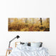 Morning Fog, La Mauricie National Park, Quebec Wall Mural