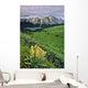 Blue Grouse Pass, Willmore Wilderness Park, Alberta Wall Mural