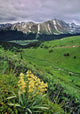 Blue Grouse Pass, Willmore Wilderness Park, Alberta Wall Mural