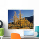 Upper Rowe Lake And Larch Trees In Fall Wall Mural