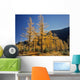 Upper Rowe Lake And Larch Trees In Fall Wall Mural