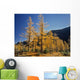 Upper Rowe Lake And Larch Trees In Fall Wall Mural