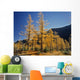 Upper Rowe Lake And Larch Trees In Fall Wall Mural