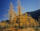 Upper Rowe Lake And Larch Trees In Fall Wall Mural
