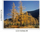 Upper Rowe Lake And Larch Trees In Fall Wall Mural