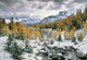 Larch Valley, Banff National Park, Alberta Wall Mural