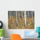 Aspen Forest, Mountain View County Near Water Valley, Alberta Wall Mural