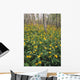 Glacier Lilies In Aspen Forest, Waterton Lakes National Park, Alberta Wall Mural