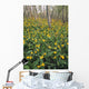 Glacier Lilies In Aspen Forest, Waterton Lakes National Park, Alberta Wall Mural
