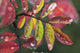 Dew On Wild Rose Leaves In Fall, Kananaskis Country, Alberta Wall Mural