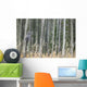 Grey Owl Wall Mural