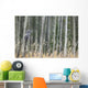 Grey Owl Wall Mural
