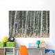 Grey Owl Wall Mural