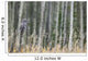 Grey Owl Wall Mural