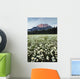Ox-Eyed Daisies, Cascade Mountain, Banff National Park, Alberta Wall Mural