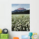 Ox-Eyed Daisies, Cascade Mountain, Banff National Park, Alberta Wall Mural