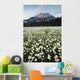 Ox-Eyed Daisies, Cascade Mountain, Banff National Park, Alberta Wall Mural