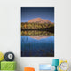 Mt Kerkeslin From Pond Along The Geraldine Lakes Road Wall Mural