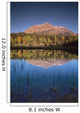 Mt Kerkeslin From Pond Along The Geraldine Lakes Road Wall Mural