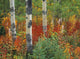 Aspen Trees And Fireweed, Kananaskis Country, Alberta Wall Mural