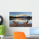 Muskoka Chairs In Front Of Mt Rundle And Two Jack Lake Wall Mural