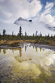 Michael Peak From The Emerald Lake Loop Trail Wall Mural