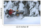 Snowmobile Roost Wall Decal