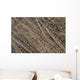 Mountain Bike Tracks Wall Mural
