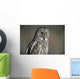 Great Grey Owl, Northern British Columbia Wall Mural