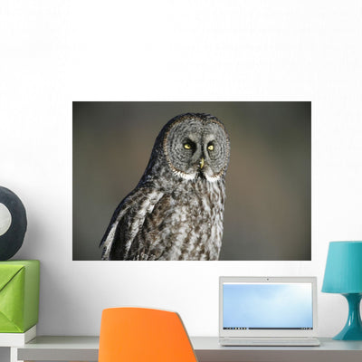 Great Grey Owl Northern Wall Mural shown on a wall