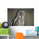Great Grey Owl, Northern British Columbia Wall Mural