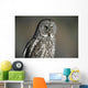 Great Grey Owl, Northern British Columbia Wall Mural