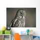 Great Grey Owl, Northern British Columbia Wall Mural